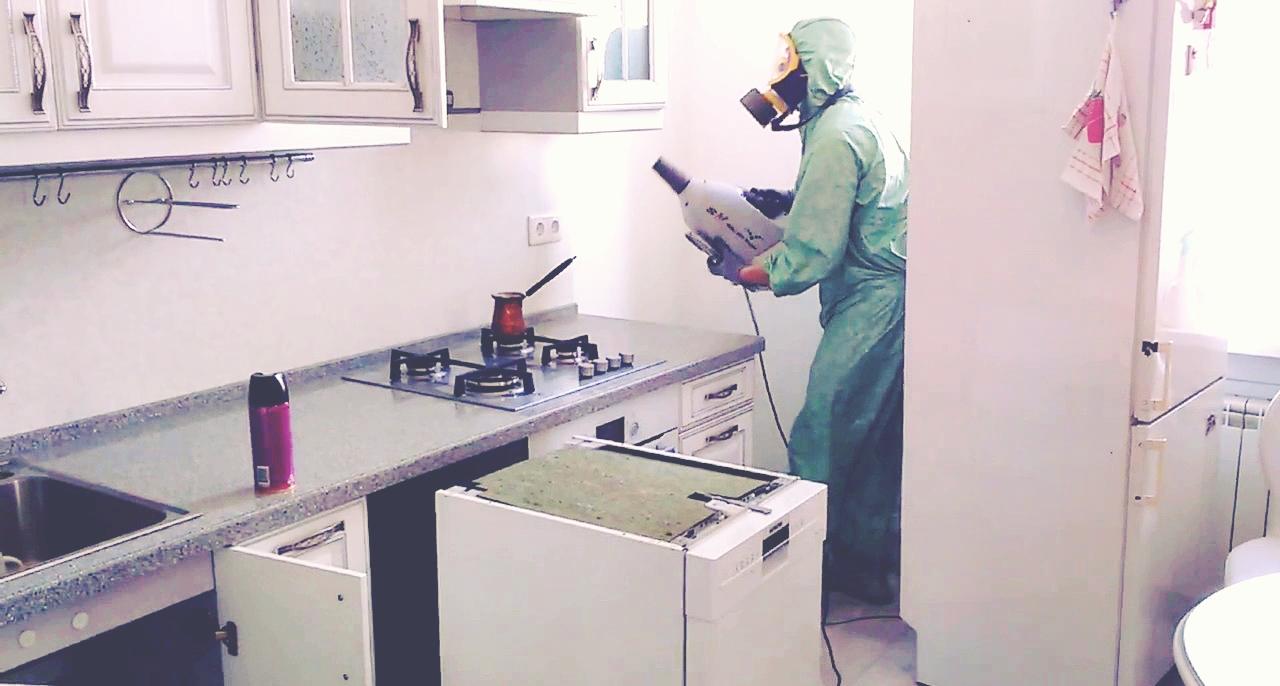 Обработка от тараканов Обработка от тараканов