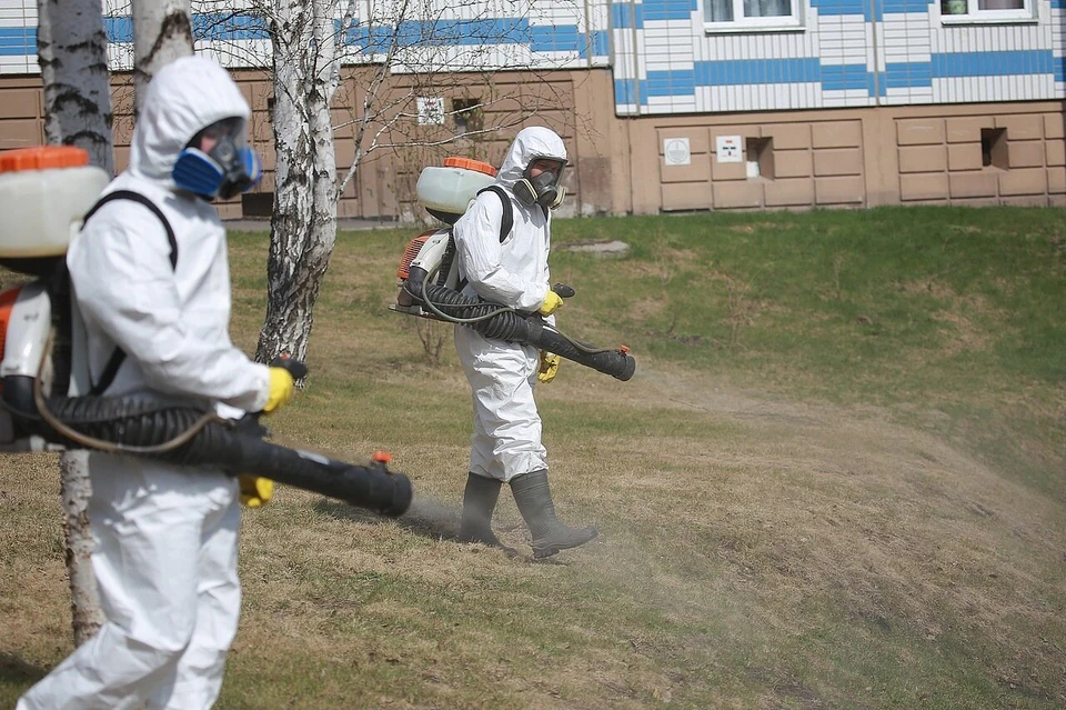 акарицидная обработка Акарицидная обработка