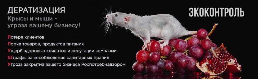 уничтожение крыс уничтожение крыс