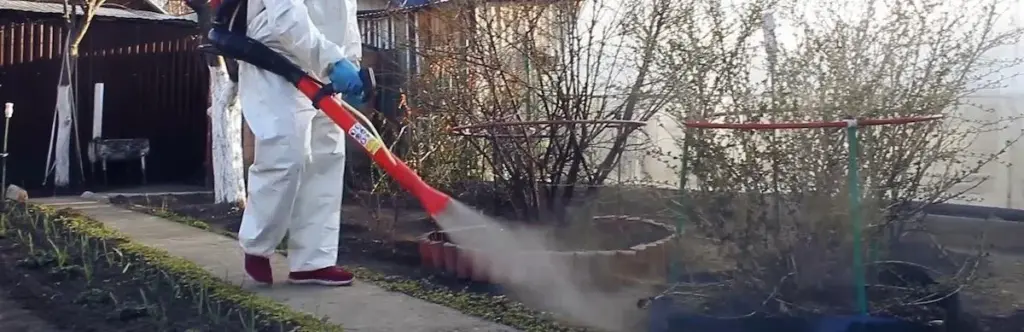 уничтожение муравьев на даче 1024x332 1