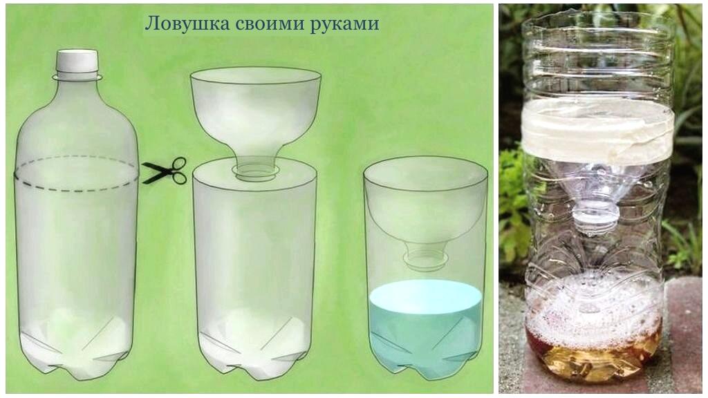 Ловушки от мошек своими руками Ловушки от мошек своими руками